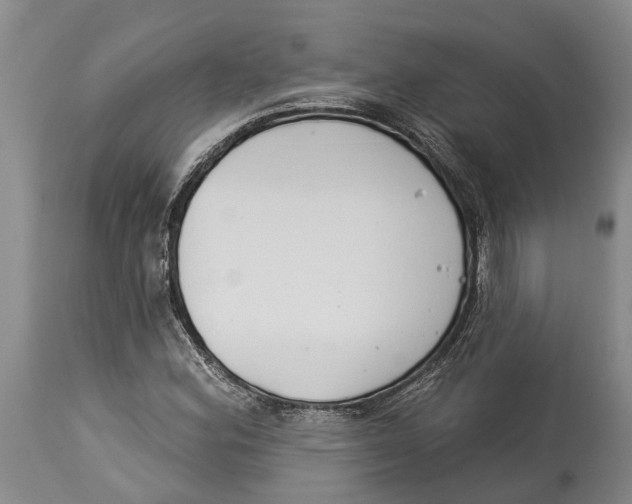 X0000114161164200911051458