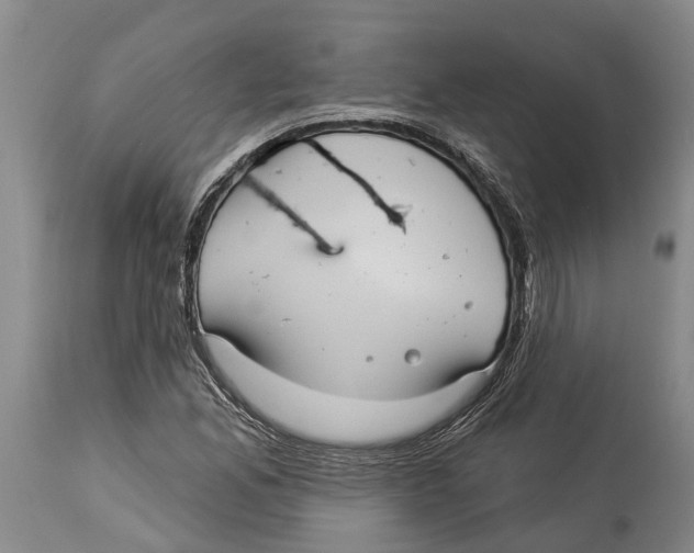 X0000114161165200911051458