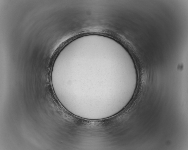 X0000114161166200911051458