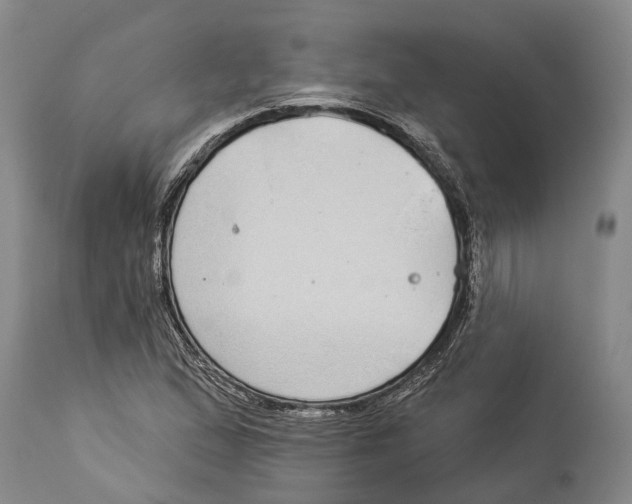 X0000114161167200911051458