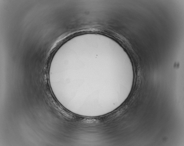 X0000114161168200911051458