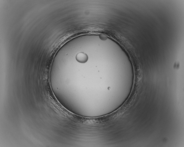 X0000114161169200911051458