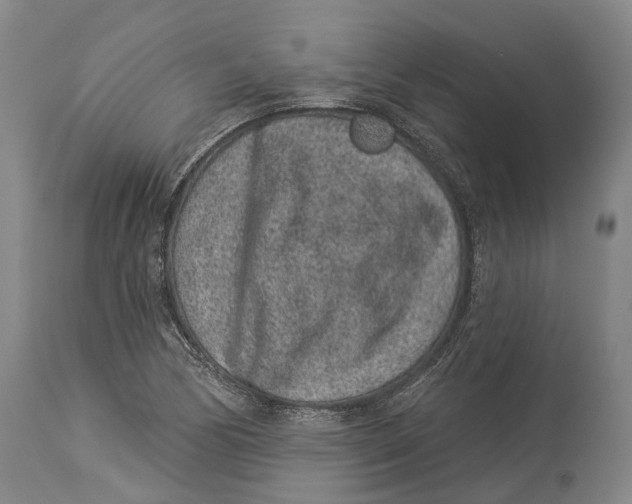 X0000114161170200911051458