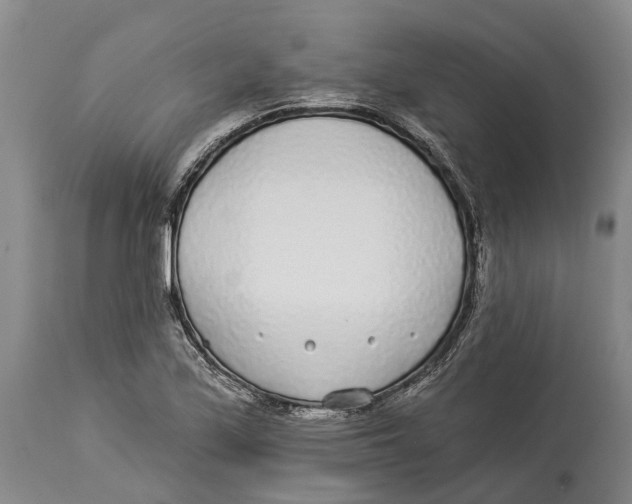 X0000114161171200911051458