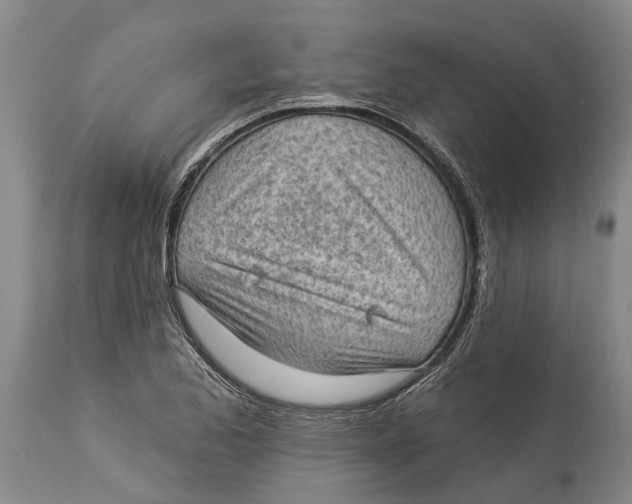 X0000114161173200911051458