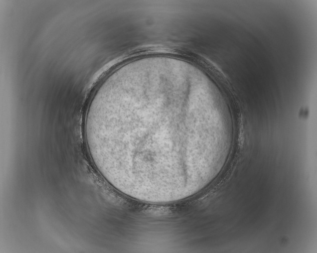 X0000114161174200911051458