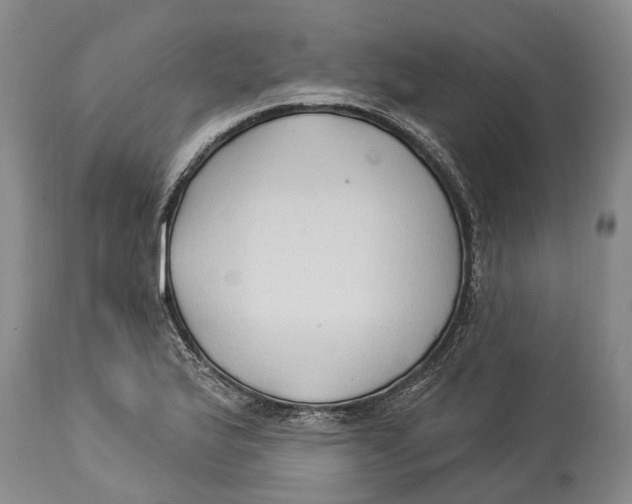 X0000114161175200911051458