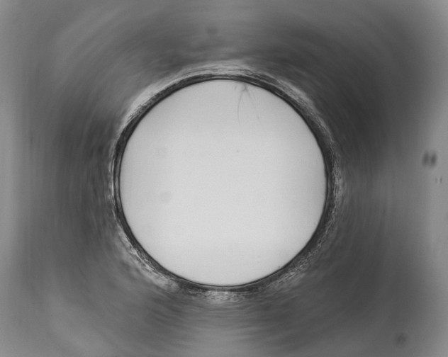 X0000114161176200911051458