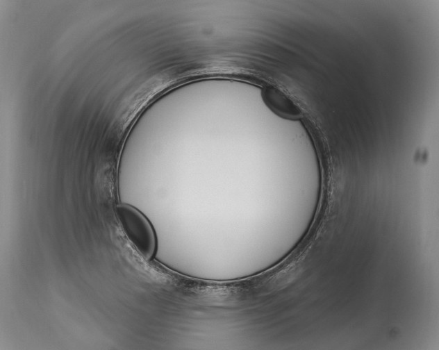 X0000114161177200911051458