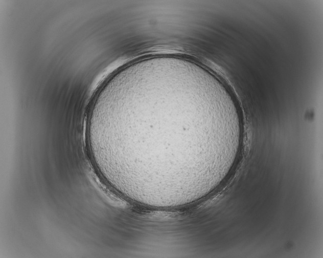 X0000114161179200911051458