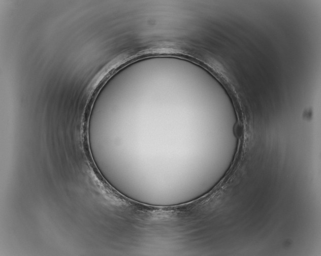 X0000114161181200911051458