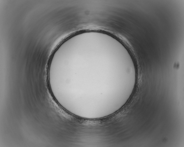 X0000114161183200911051458