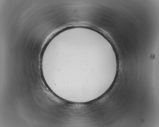 X0000114161184200911051458