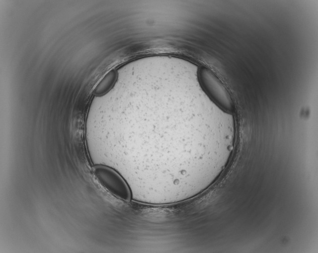 X0000114161185200911051458