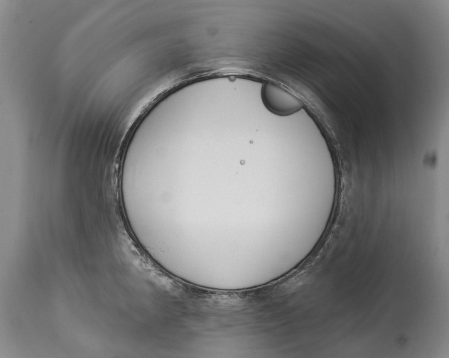 X0000114161190200911051458