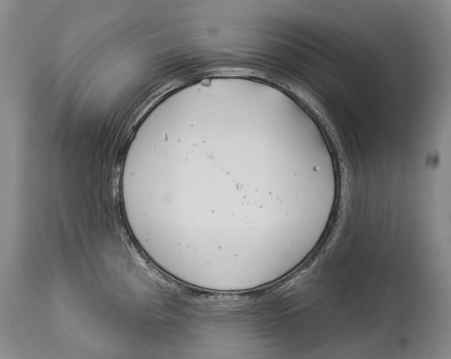 X0000114161193200911051458