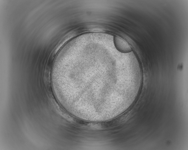 X0000114161194200911051458