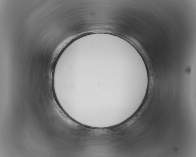 X0000114161196200911051458