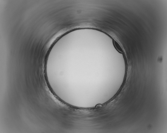 X0000114161197200911051458