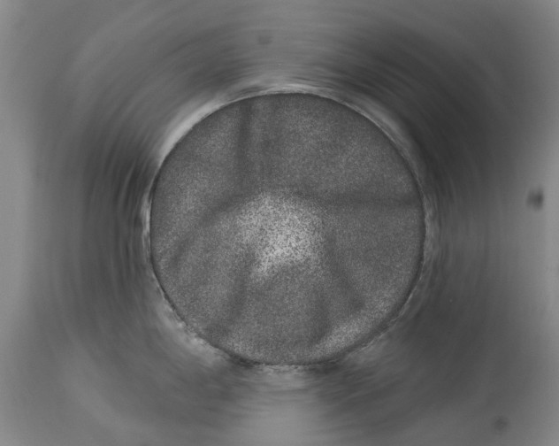 X0000114161198200911051458