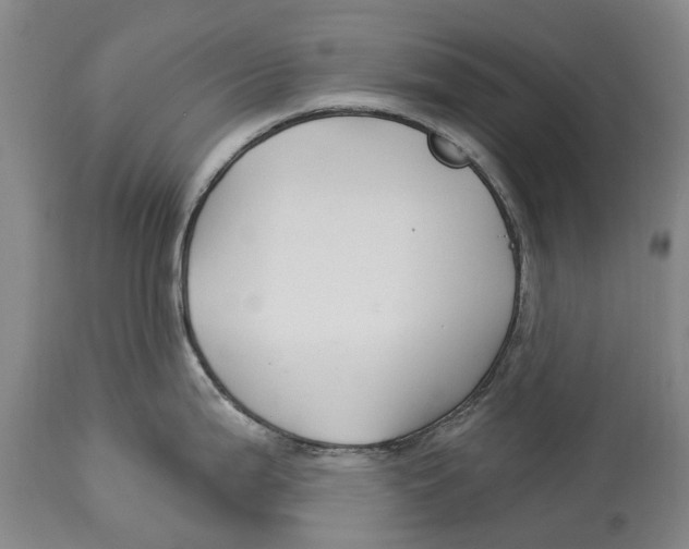 X0000114161199200911051458