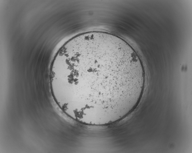 X0000114161200200911051458