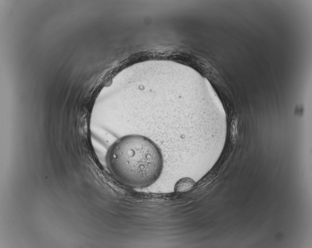 X0000114161204200911051457