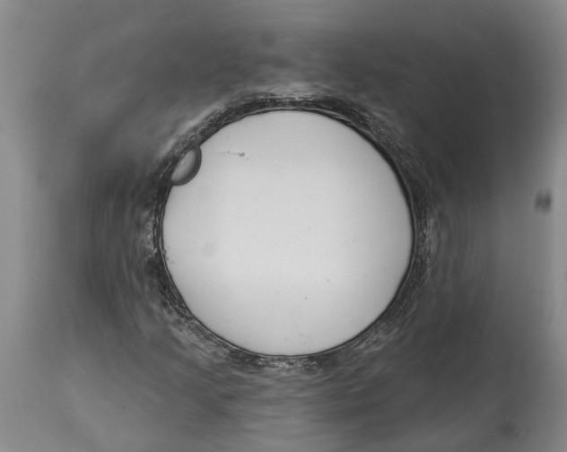 X0000114161205200911051457