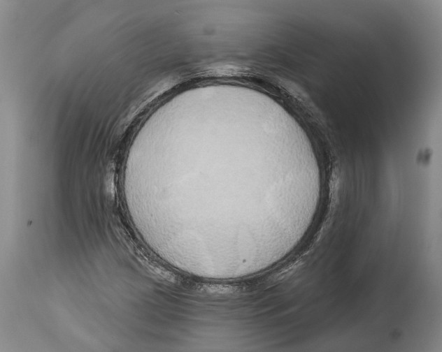 X0000114161209200911051457