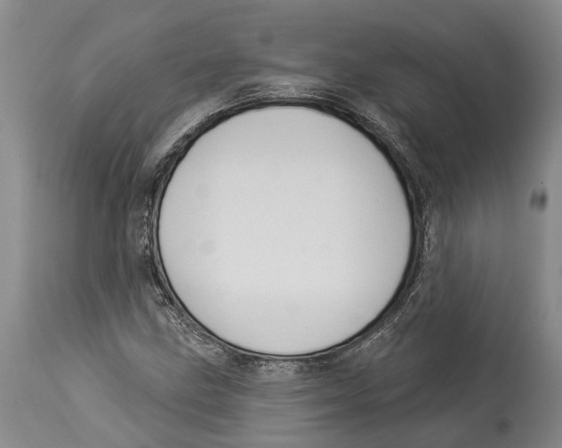 X0000114161211200911051457