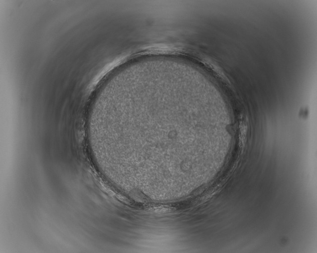 X0000114161213200911051457