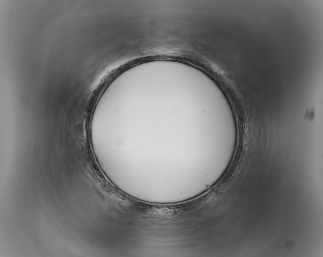 X0000114161214200911051457