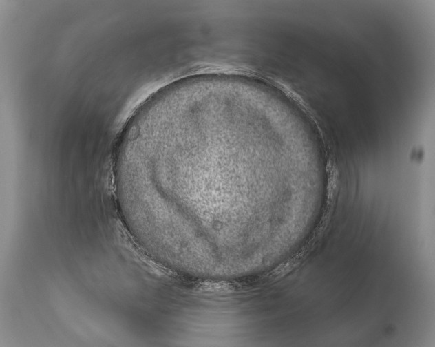 X0000114161215200911051457