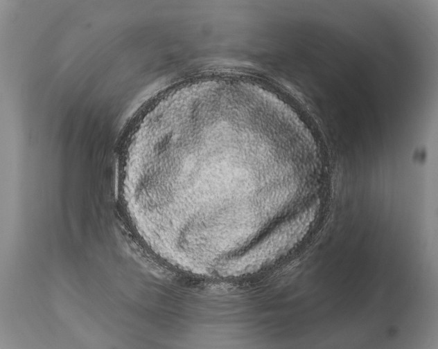 X0000114161219200911051457