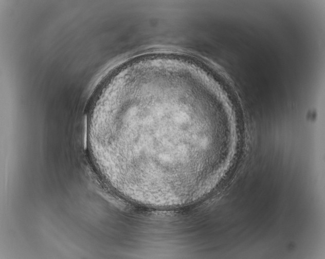 X0000114161223200911051457