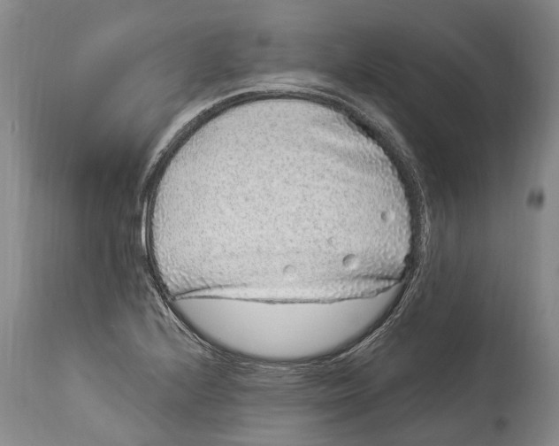 X0000114161224200911051457