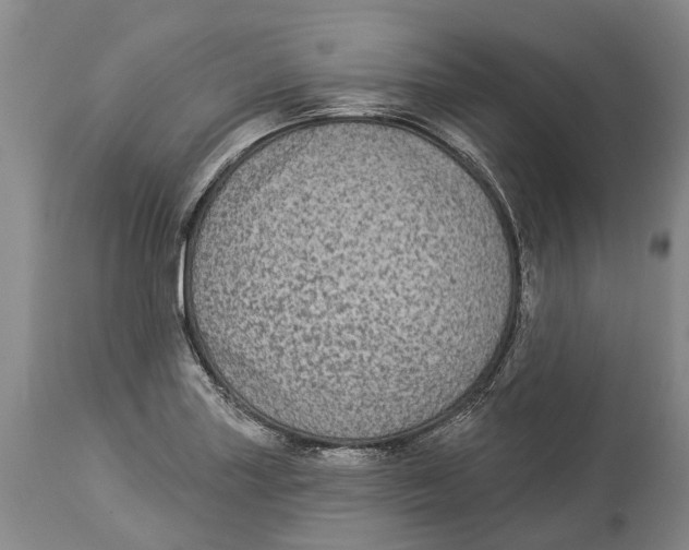 X0000114161227200911051457