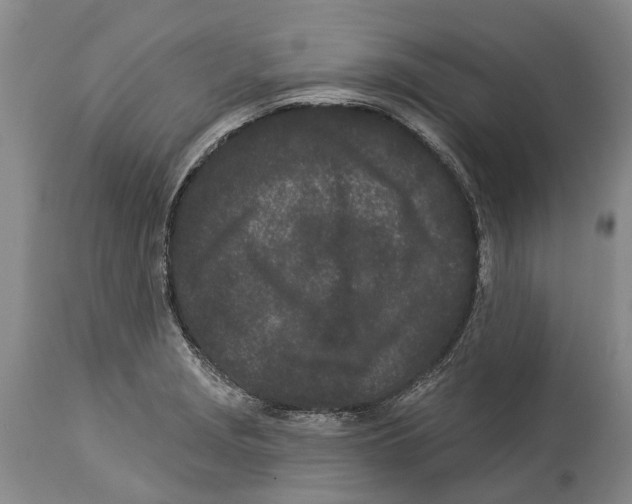 X0000114161229200911051457