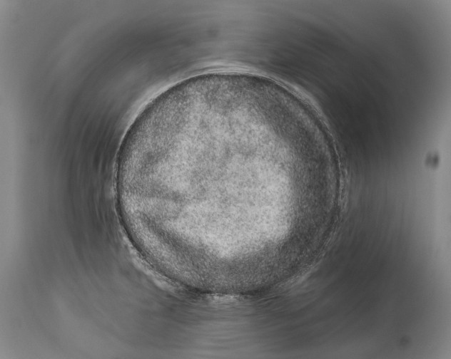 X0000114161231200911051457