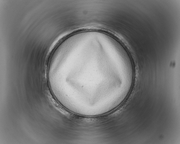 X0000114161232200911051457