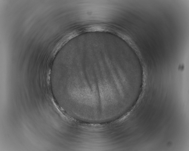 X0000114161233200911051457