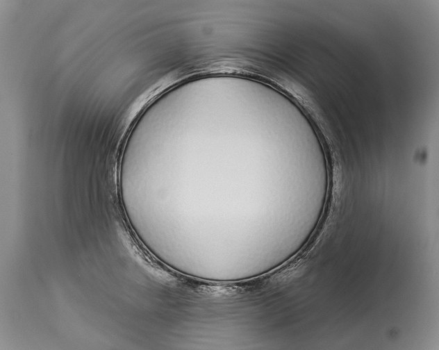 X0000114161234200911051457