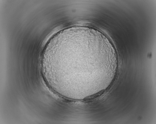 X0000114161235200911051457