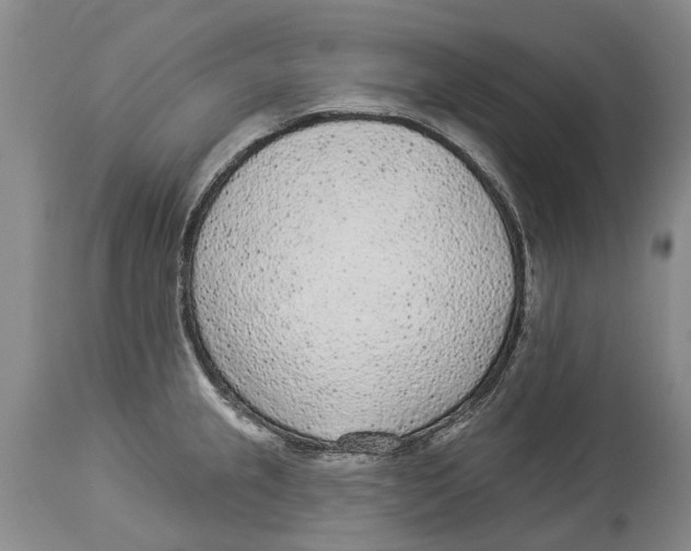 X0000114161237200911051457