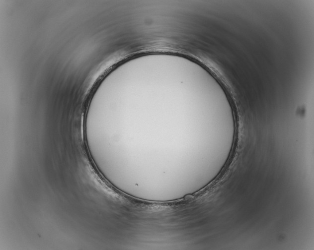 X0000114161238200911051457