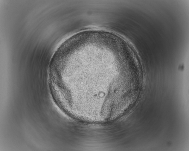 X0000114161239200911051457