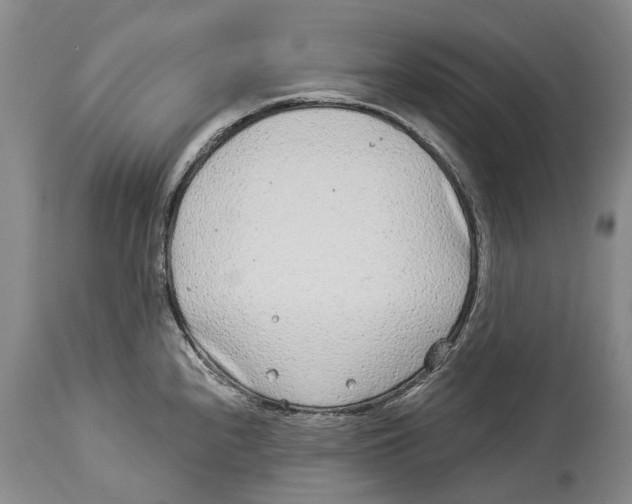 X0000114161240200911051457