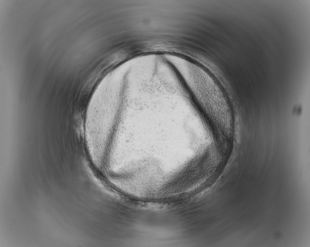 X0000114161241200911051457