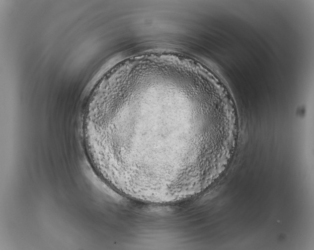 X0000114161243200911051457