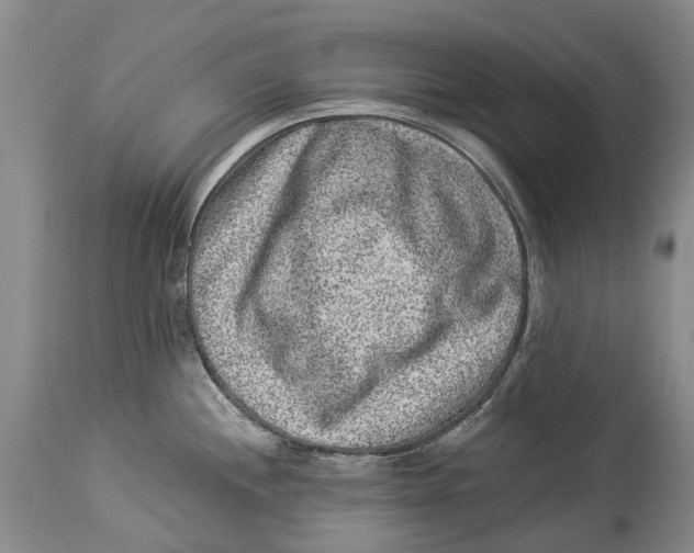 X0000114161244200911051457